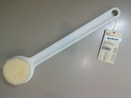 Shower brush with a long handle