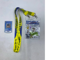 Set of 2  Showing custom-made lanyards and ID cards for a taekwondo competition.