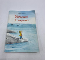 the cover for the Russian children's book "Камушек в кармане" by Mari Shartr. the cover for the Russian children's book "Камушек в кармане" by Mari Shartr.