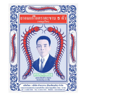  Abhaibhubejhr Five Centipede Brand Cough Lozenges (Herbal Flavor)