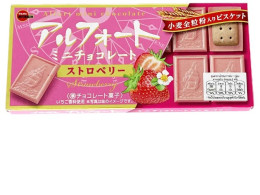 Bourbon Alford Mini Chocolate Ichigo 55g