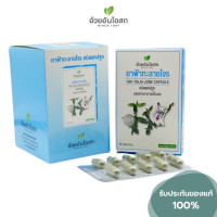 Andrographis paniculata (Thai herbal medicine) by Ouy An Osoth, capsule form, 1 box containing 6 blister packs (10 capsules).