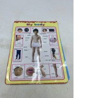 Educational books or DVDs on the topic of "My Body".