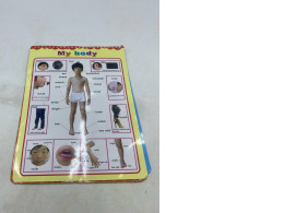 Educational books or DVDs on the topic of "My Body". Educational books or DVDs on the topic of "My Body".