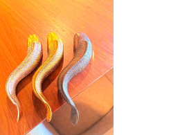 3 steel fish for home decoration 3 steel fish for home decoration