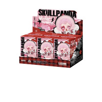 set of 6 SKULLPANDA Winter Symphony Plush Doll Set from Pop Mart