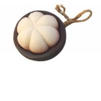 Fancy Mangosteen Soap
