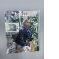 Madame Figaro Hommes magazine