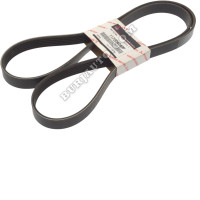 Radiator fan belt for Triton van, part number 11720A440P.