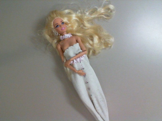 Barbie doll Barbie doll