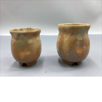 set of 2 Teacup