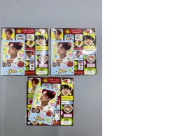 Set of 3 Stickers featuring Jenolee from the Kpop group NCT Dream. Set of 3 Stickers featuring Jenolee from the Kpop group NCT Dream.