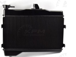 B4T-12461-00-00 Yamaha Water radiator 