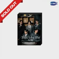 LYKN FEEL LIKE ME PHOTO SET Jumbo Postcard ,Photo Strip,Special Photocard,LYKN FEEL LIKE ME brooch