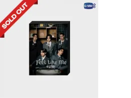 LYKN FEEL LIKE ME PHOTO SET Jumbo Postcard ,Photo Strip,Special Photocard,LYKN FEEL LIKE ME brooch