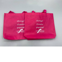 set of 2 cloth bag
