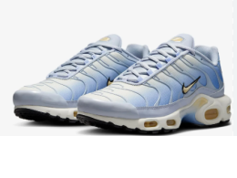 NIKE  Air Max Plus Daybreak DZ3670-004