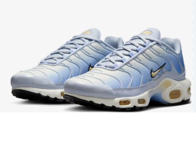 NIKE Air Max Plus Daybreak DZ3670-004 NIKE Air Max Plus Daybreak DZ3670-004