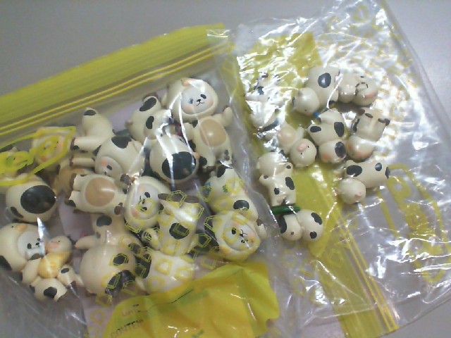 A set of 2 sizes, cows in different poses A set of 2 sizes, cows in different poses