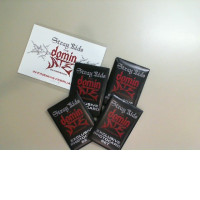 Set of 4 photo cards + postcard Stray Kids the Domin