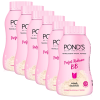 Pond'S Translucent Face Powde BB set of 6x6