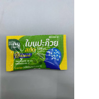 Handy Herb Ginkgo Leaf Extract dietary supplement packaged in a small envelope. 