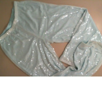 Women's light blue trousers with sequins