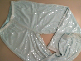 Women's light blue trousers with sequins