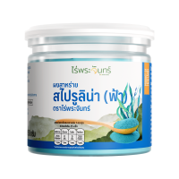 Rai Phra Chan Blue Spirulina Powder