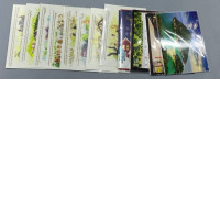 Set of 12 Postcards featuring tourist attractions on islands in Thailand. Set of 12 Postcards featuring tourist attractions on islands in Thailand.