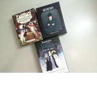 Set of 3 Card Tarot Seasons of the Witch winter tarot. Wednesday. Taroy of woodland wardens