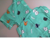 Green pajamas, shorts and shirt