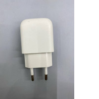 standard wall charger adapter.