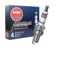 NGK Iridium IX spark plugs