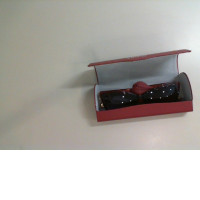 Women's sunglasses in a case