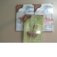 Set of 3 vol. Drownning sorrows in raging fire. Xuanju Shenglingyuan