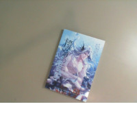 Book Big Fish. Chinese