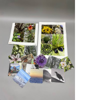 Set of 18 Flower and sea view bird sticker