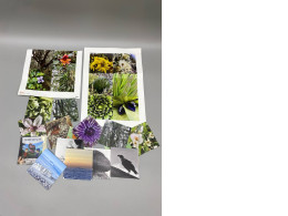 Set of 18 Flower and sea view bird sticker