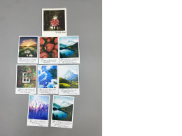 Set of 9 Postcard of nature view
