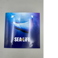 Picture frame, souvenir.SEA LIFE Bangkok Ocean World