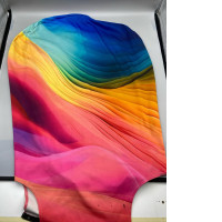Rainbow patterned luggage cover.