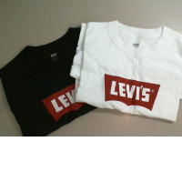 Set of 2 Levi's T-shirts