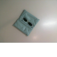 Sunglasses in a case