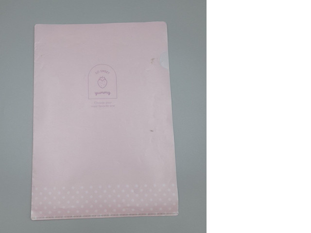 Document file Document file